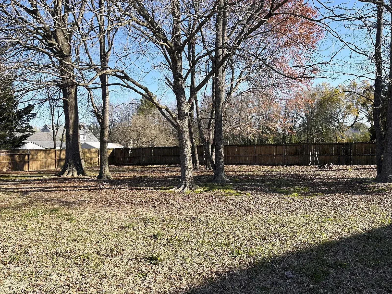 A big clean area surrounded by long trees is fall cleanup very professionally by using the leaf disposal and blowing process