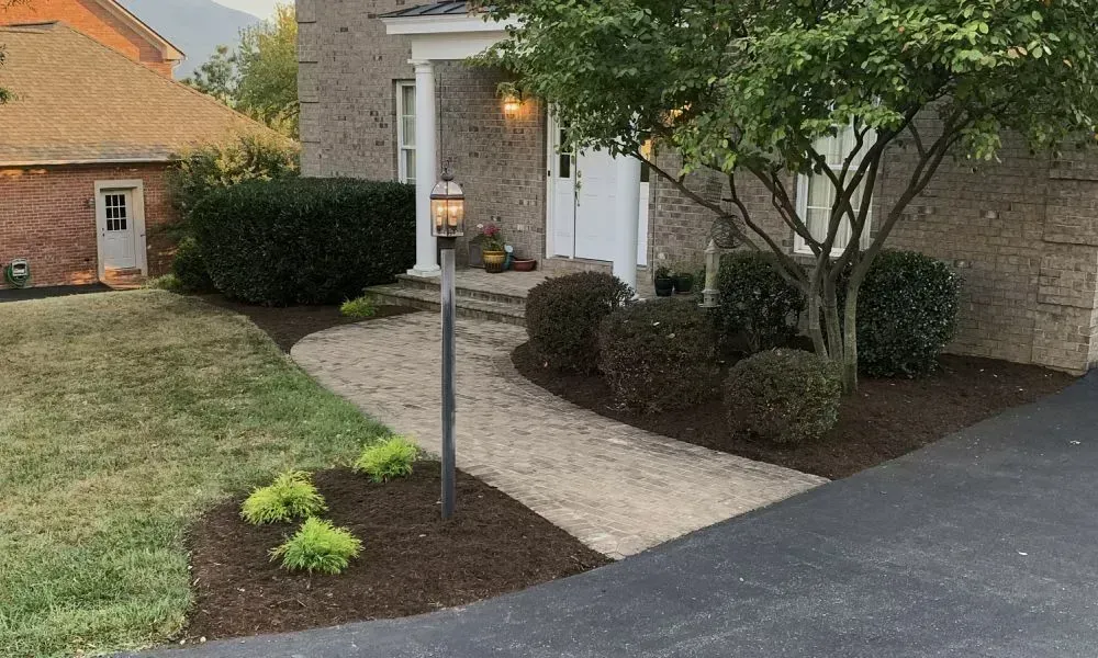 A lawn area outside a house separated by a cleanly built cement pathway showcasing excellent