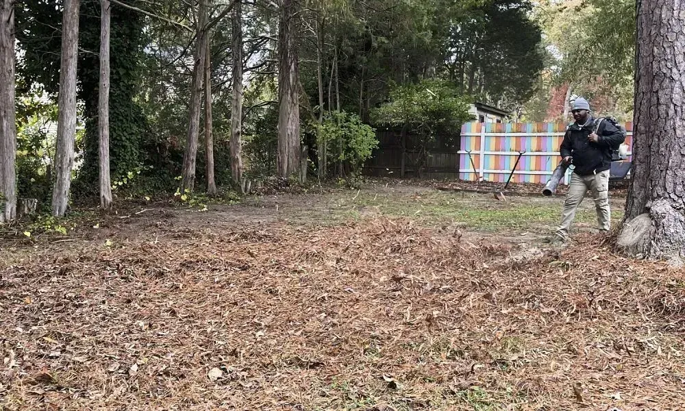 A professional worker is using the leaf blowing machine at a site after a massive leaf cleanu
