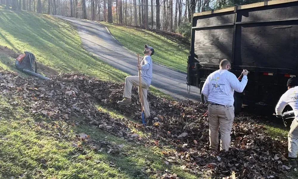 A team of professionals with a leaf garbage truck and a vehicle doing leaf cleanup at a site