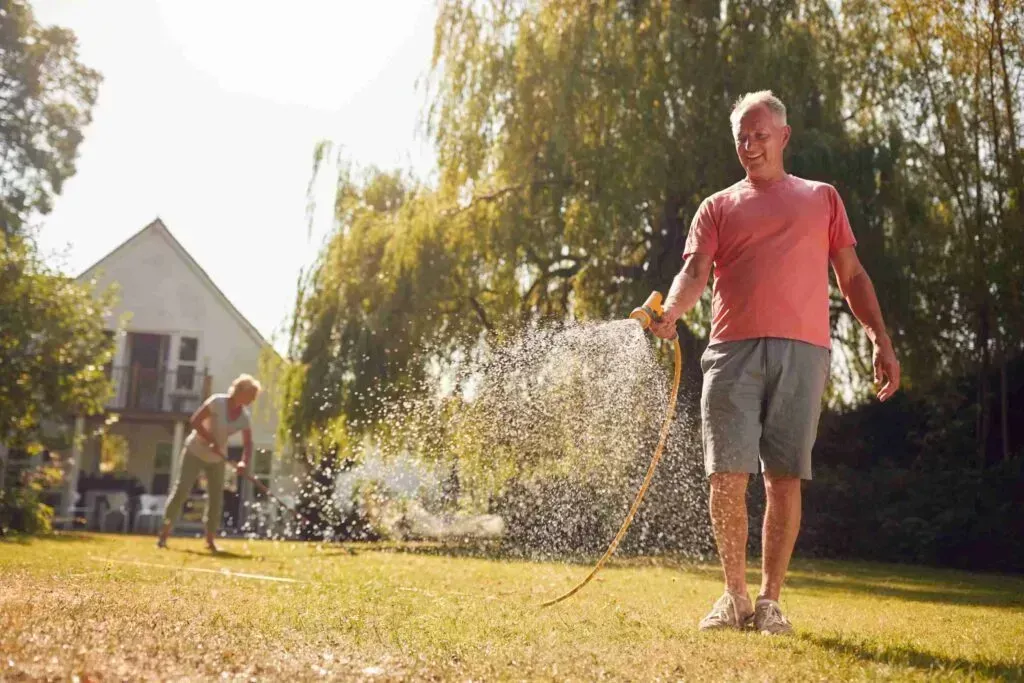 How To Fix Too Much Iron In Lawn