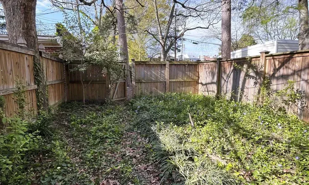 Lawn area with wooden boundary wall with scattered dead plants and flowers all over the ground