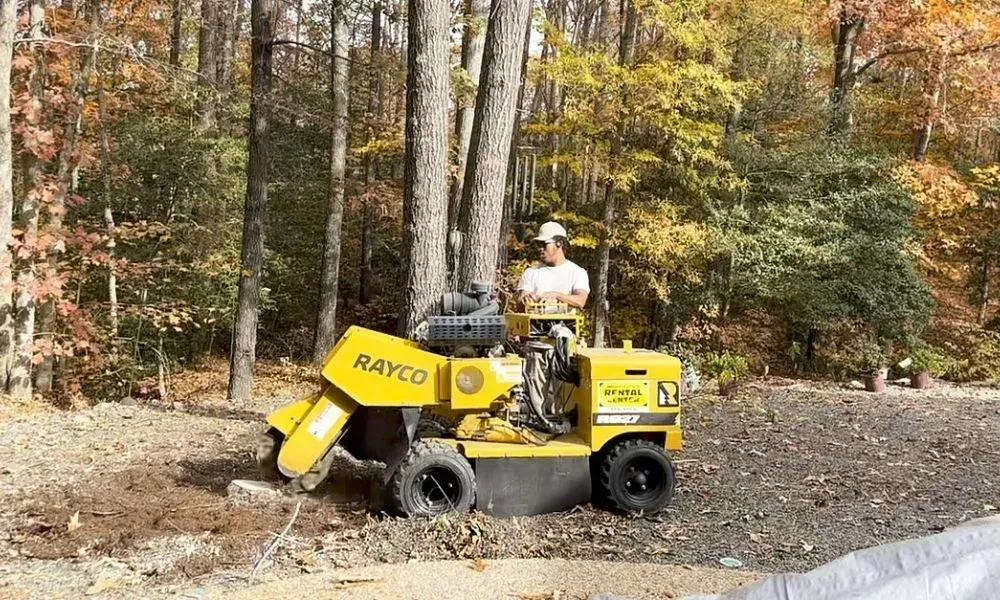 Side shot of a professional stump grinder machine operator sitting in the vehicle to remove the