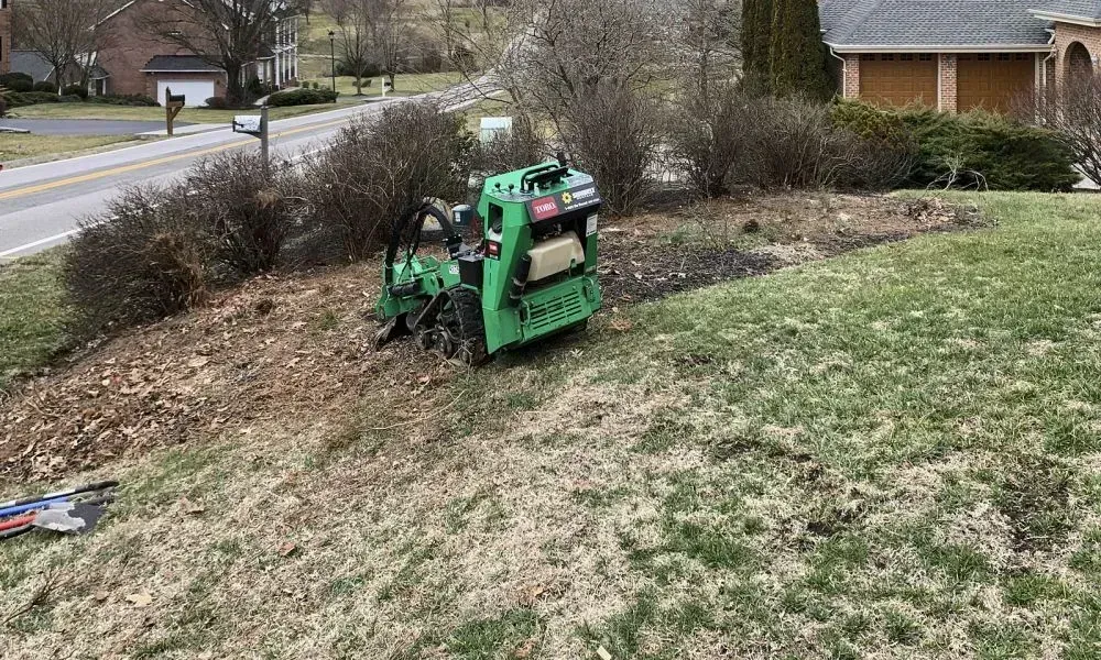 Top view of a sparse lawn with a skid steer operating in the area for underbrush removal and brush