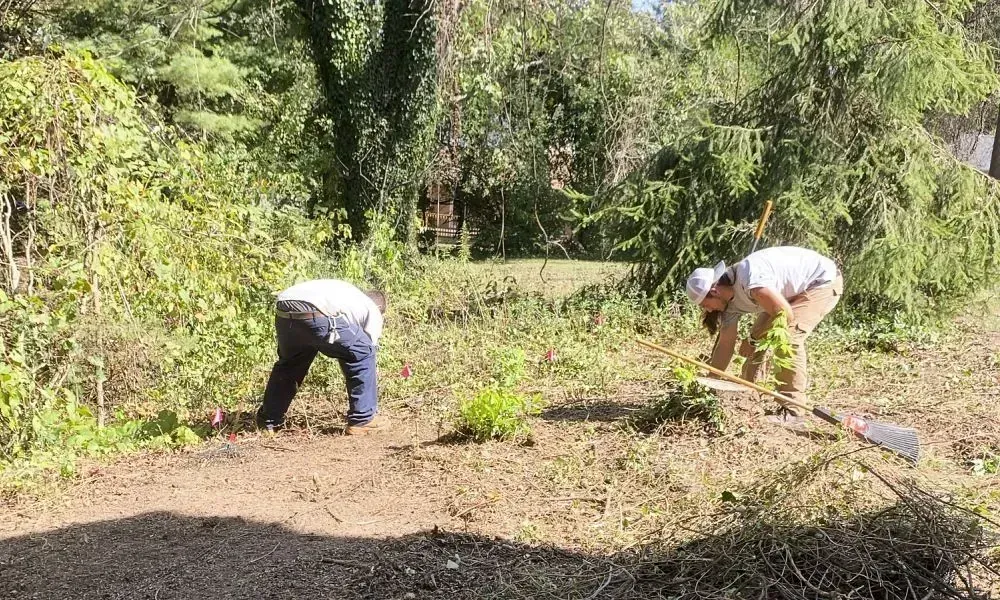 Two professionals are busy cutting and clearing the lawn after trimming bushes grass and plants