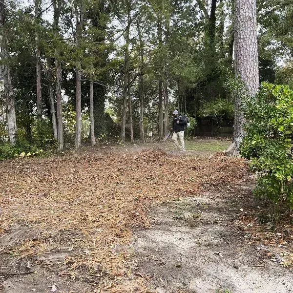 Wide Angle Shot Of A Professional Worker Doing Leaf Blowing Process At A Fall Cleanup Site After The Massive Leaf Disposal
