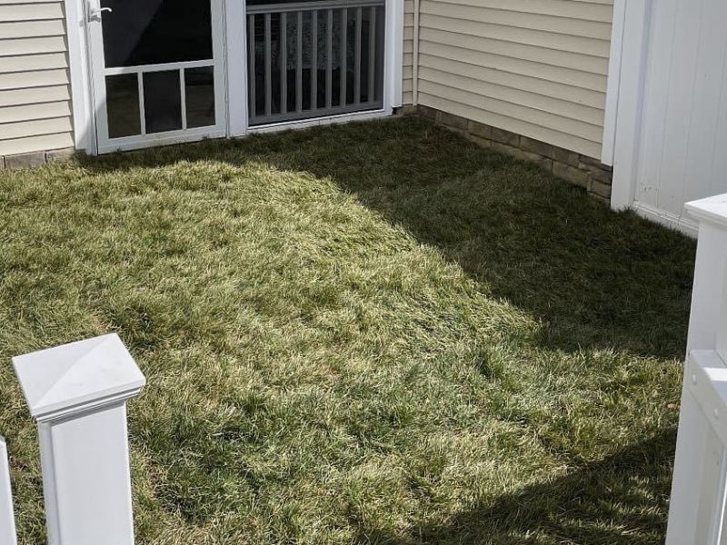 Sod Installation Company In Virginia