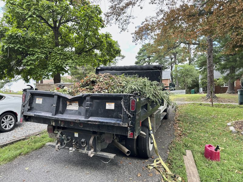 Back View Of A Black Loader Carrying Lawn Garbage Like Plants And Grass After Vegetation Removal And Brush Removal Process