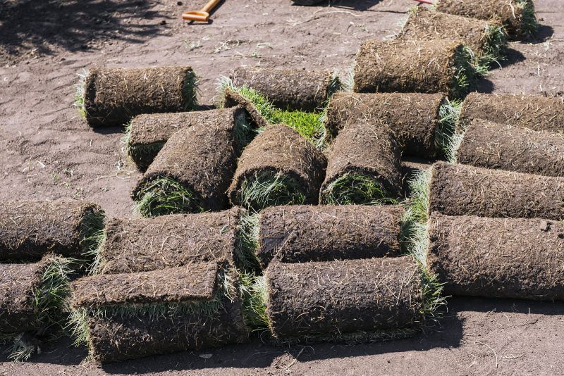 Various Piles Of The Sod Are Placed On The Site Before The Process Of Sod Installation